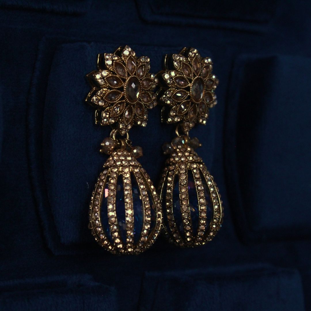 Adorned Drop Earrings