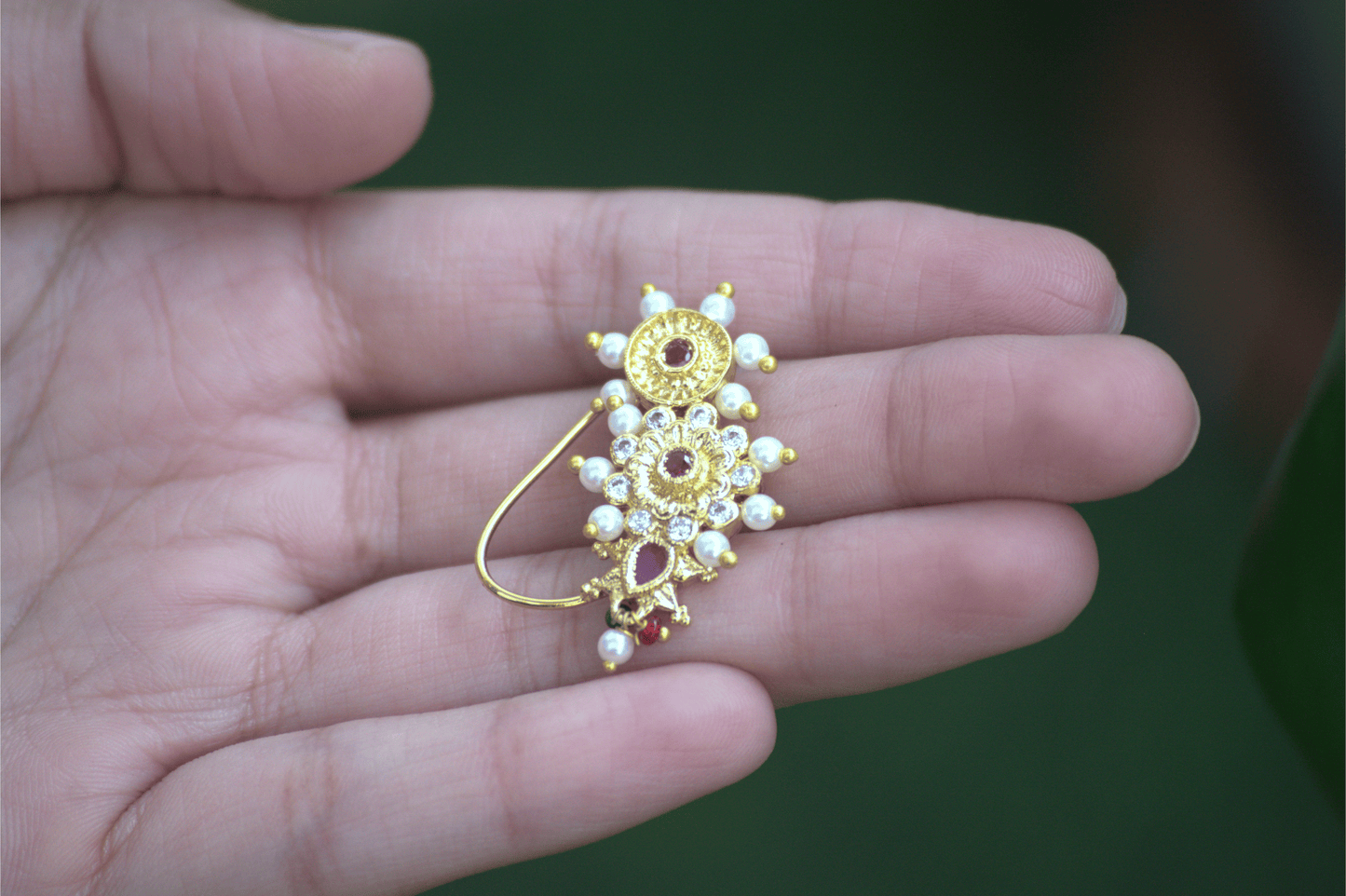 Nath Bhagirathi Royale