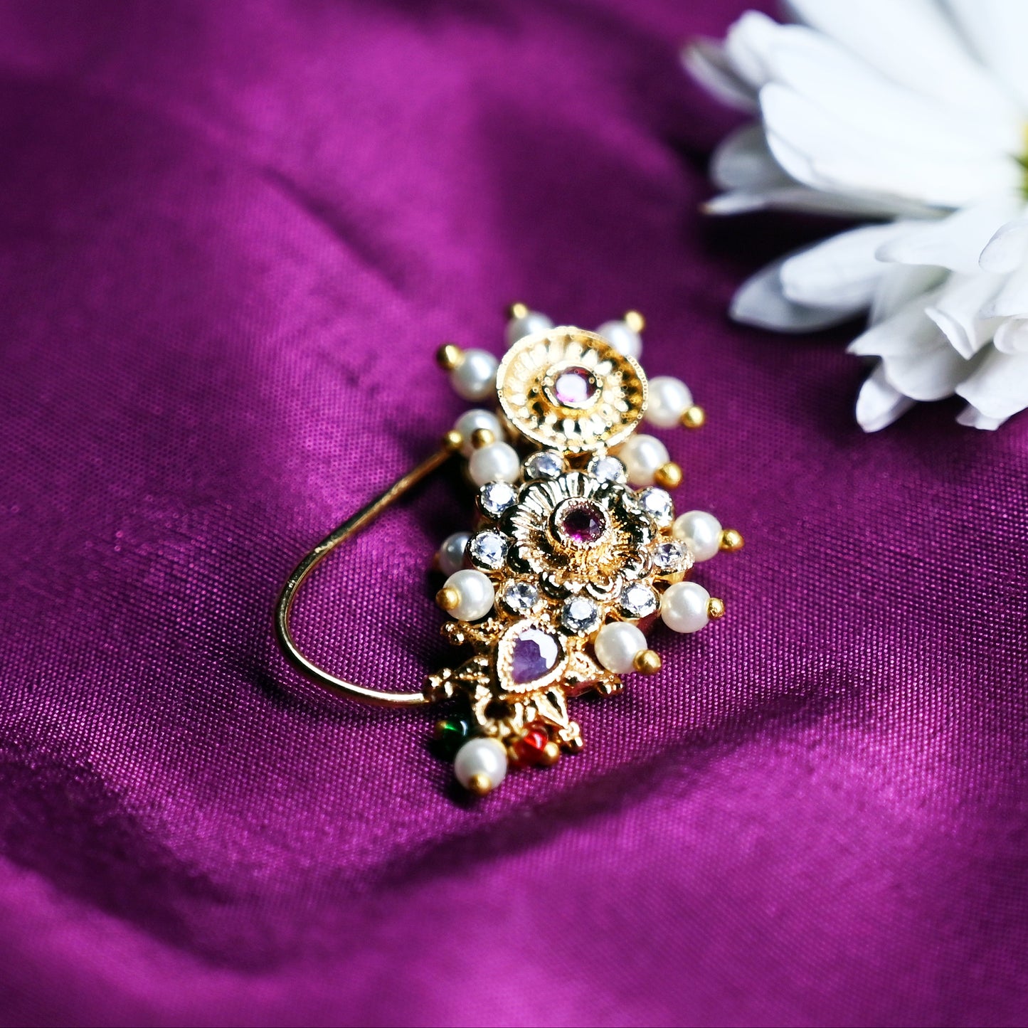 Nath Bhagirathi Royale