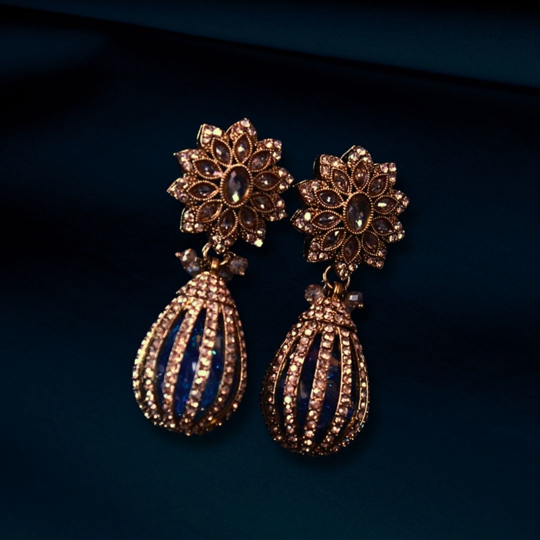 Adorned Drop Earrings