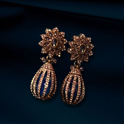 Adorned Drop Earrings
